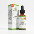 Clorofila Líquida Premium Benevolent Supplements 60 ml – Gotas con Sabor a Menta 🌿